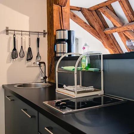 Rodtsches Palais 15 מיירסבורג