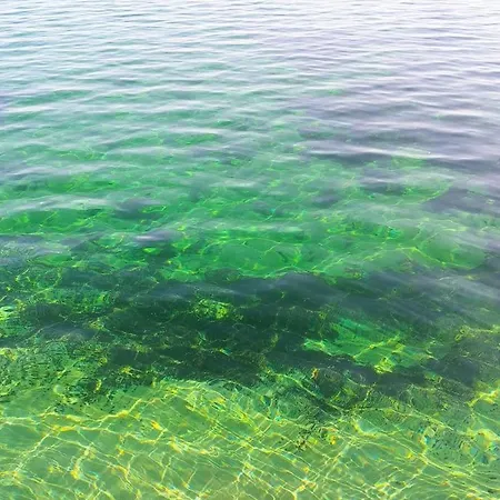 Rodtsches Palais 15 דירה מיירסבורג