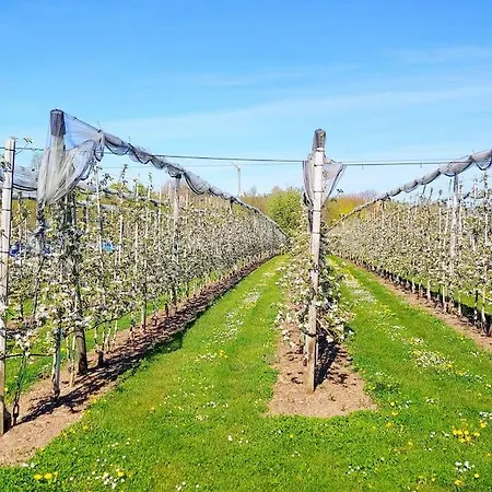 Rodtsches Palais 15 דירה *