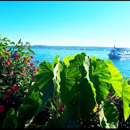 Rodtsches Palais 15 *